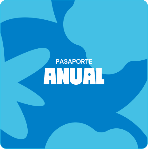 Imagen del Pasaporte Full con Pases Rápidos Parque de la Costa